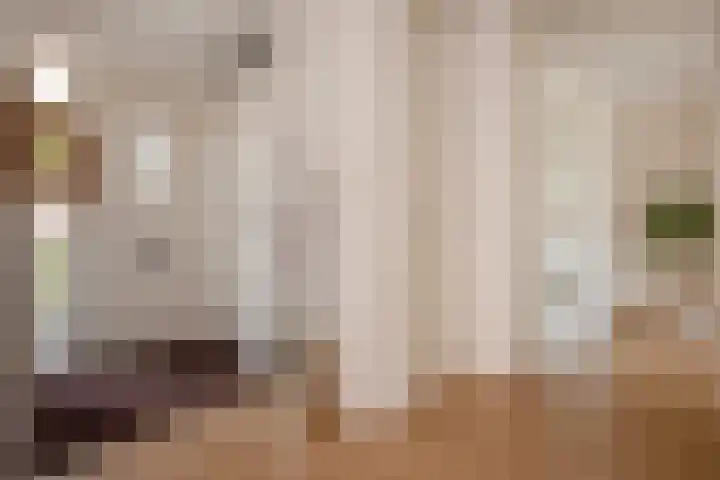 Vrijenban 47 Delfgauw thumbnail 8