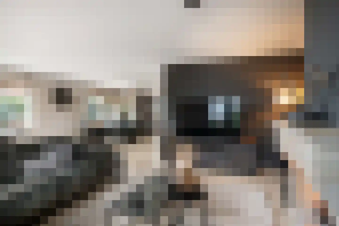 Vrijenburglaan 12 Barendrecht thumbnail 17