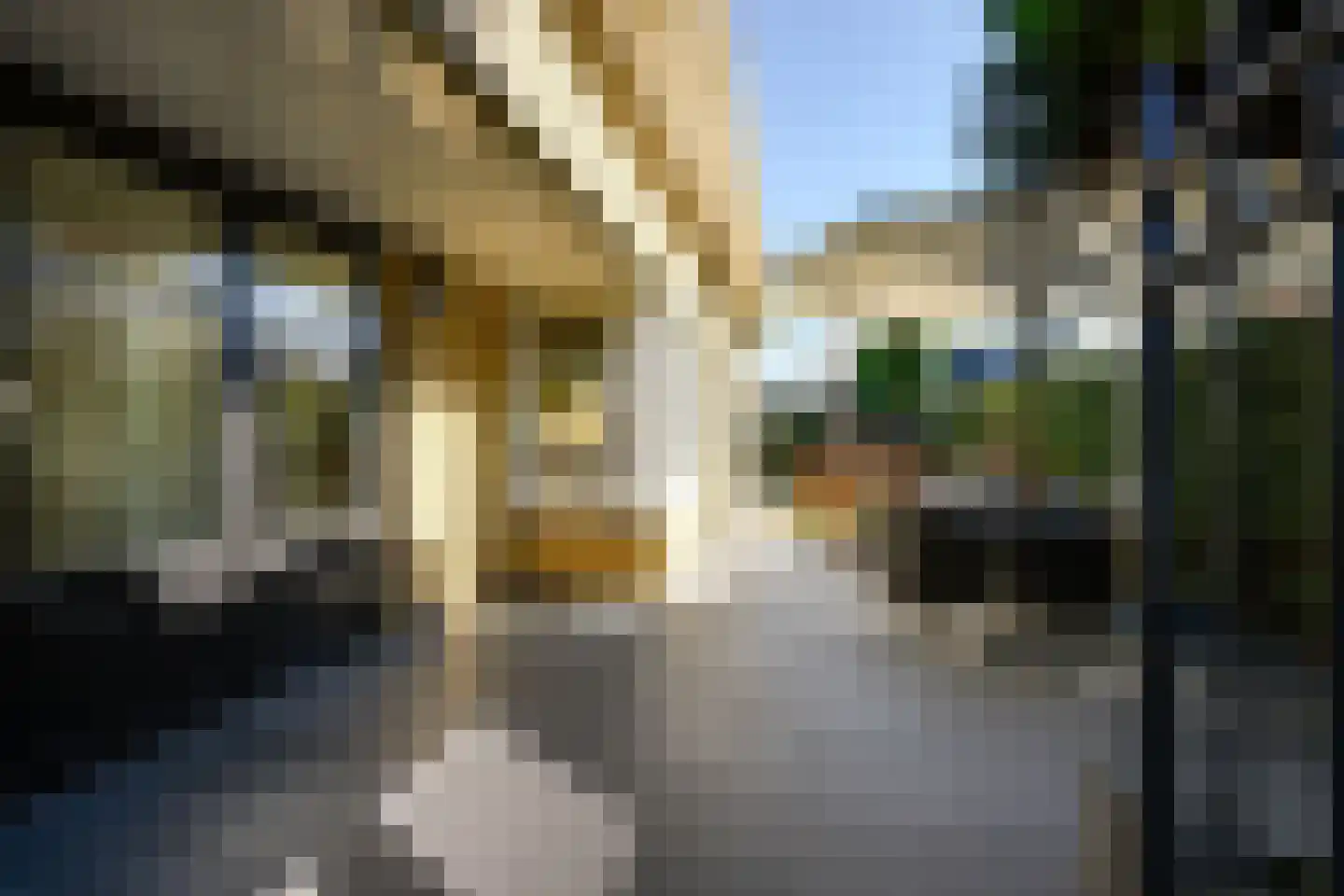 Vrijenburglaan 12 Barendrecht thumbnail 55