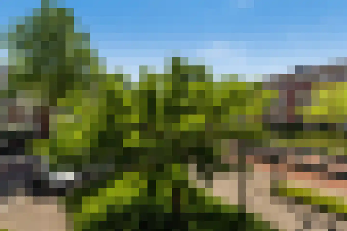 Vrijenburglaan 125 Barendrecht thumbnail 36
