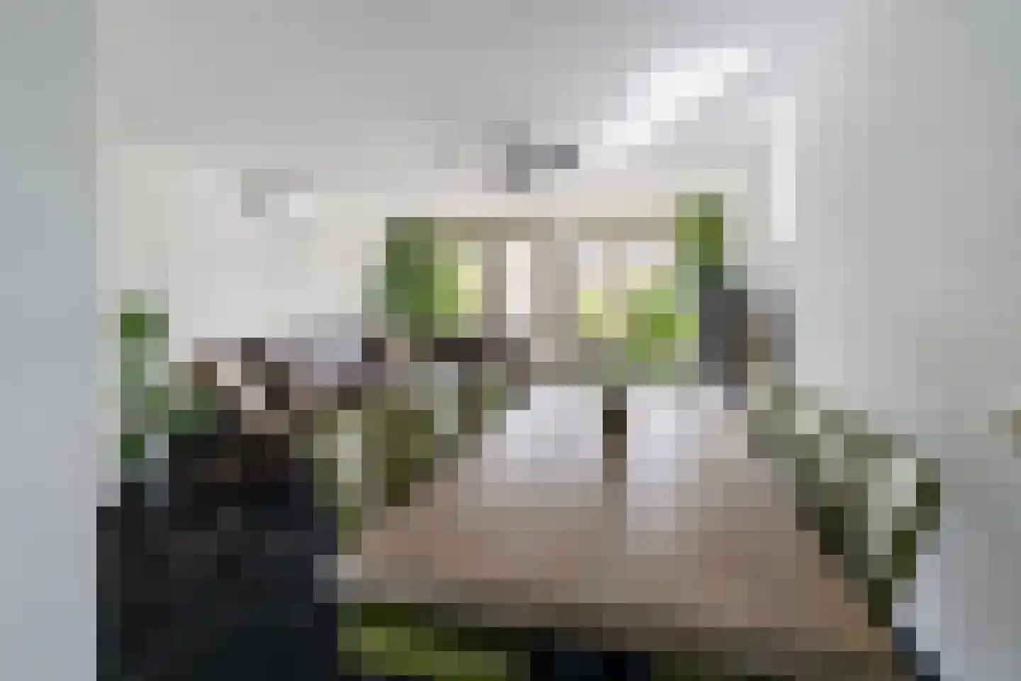 Vrijenburglaan 275 Barendrecht thumbnail 14