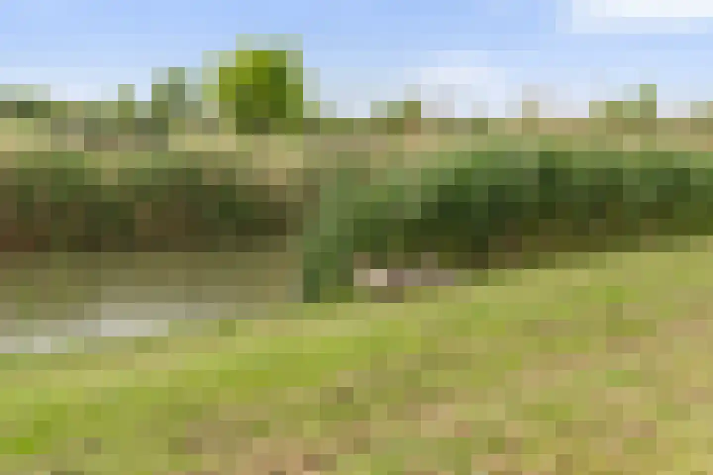 Vrijenburglaan 275 Barendrecht thumbnail 33