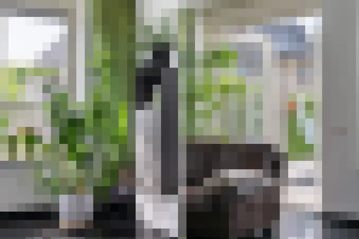 Vrijenburglaan 275 Barendrecht thumbnail 8
