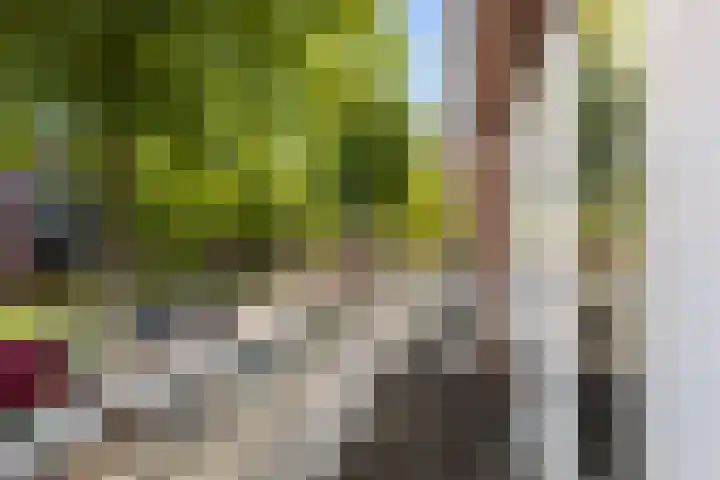 Vrijenburglaan 44 Barendrecht thumbnail 46