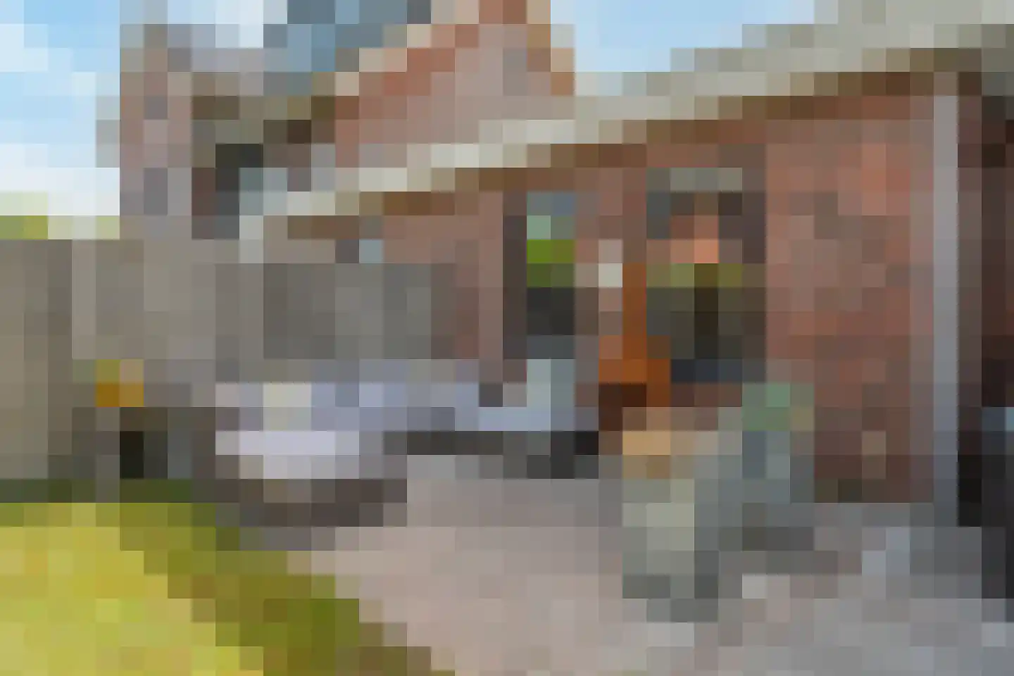 Vrijenburglaan 71 Barendrecht thumbnail 33