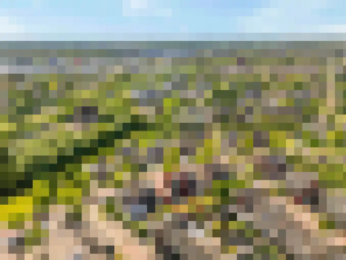 Vrijenburglaan 71 Barendrecht thumbnail 39