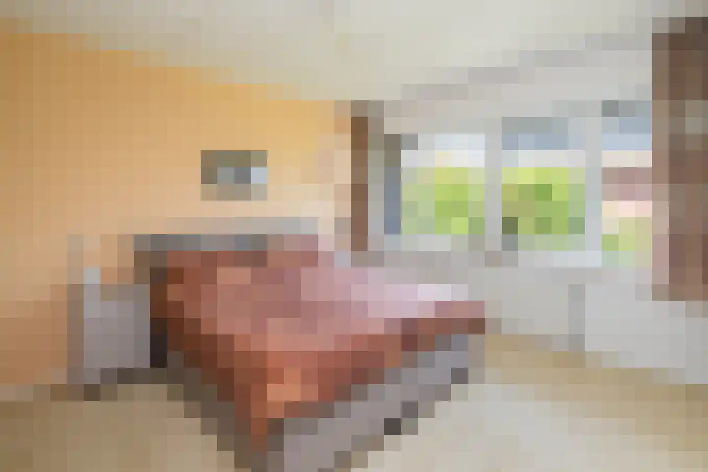 Vrijenburglaan 75 Barendrecht thumbnail 14