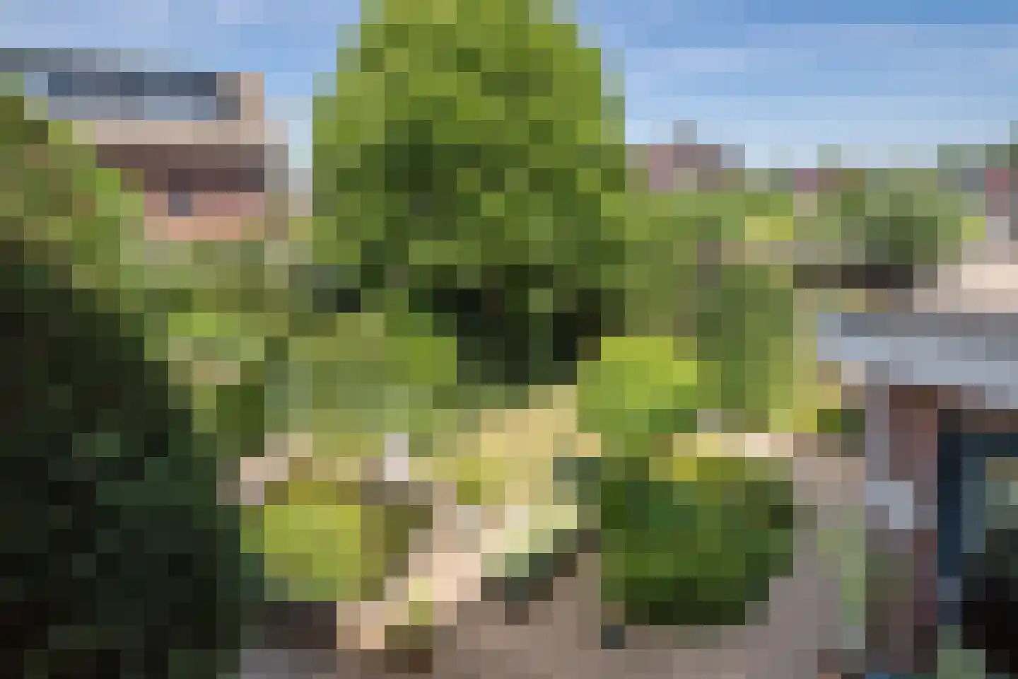 Vrijenburglaan 75 Barendrecht thumbnail 25