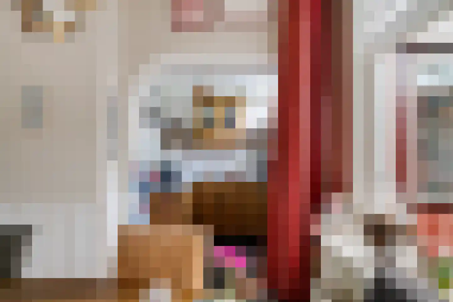 Vrijgevochtenwaltje 16 Dokkum thumbnail 13