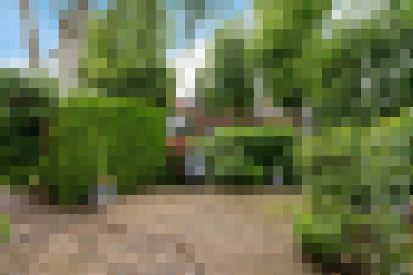 Vrijgevochtenwaltje 16 Dokkum thumbnail 24