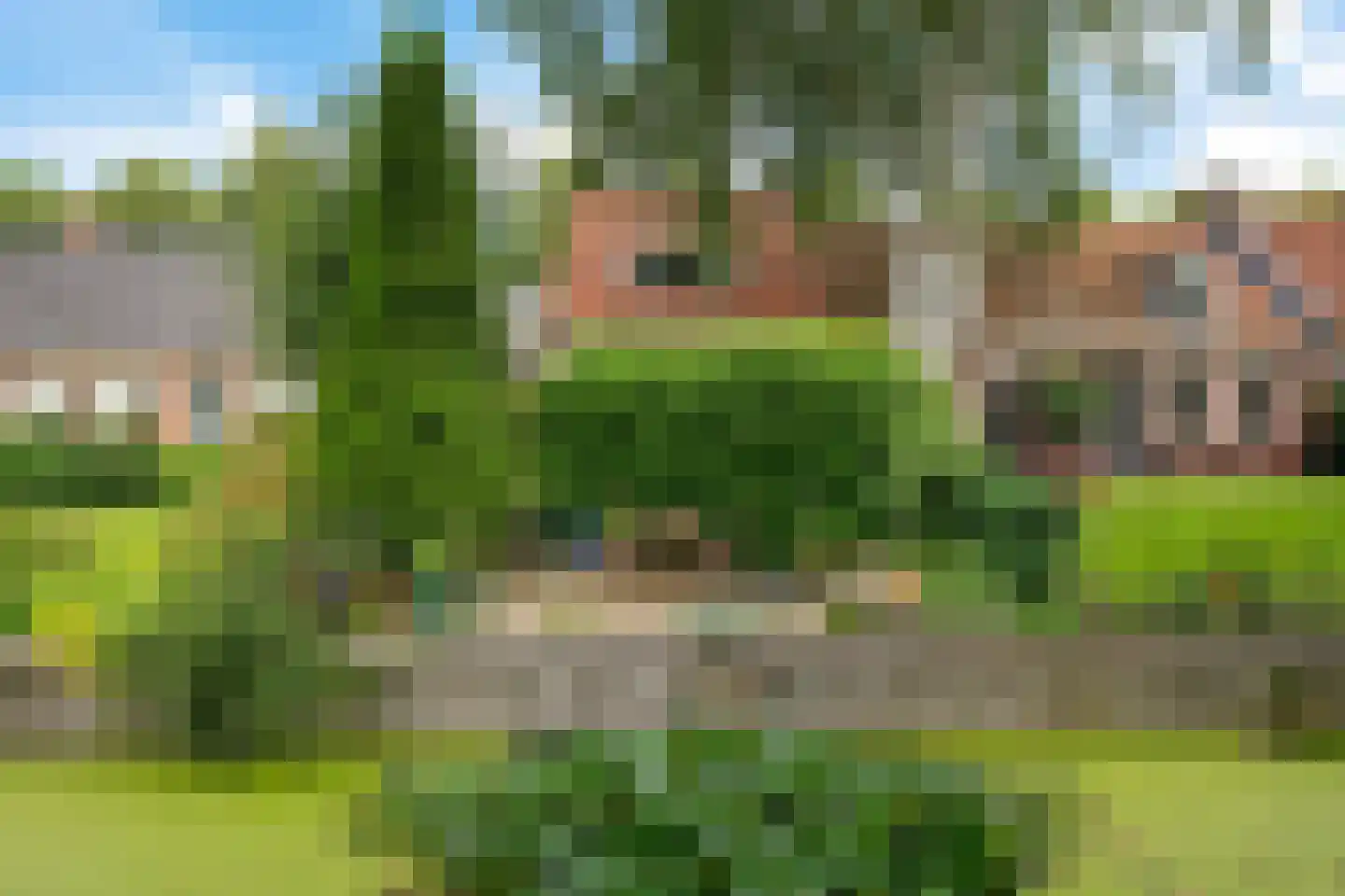 Vrijgevochtenwaltje 16 Dokkum thumbnail 26