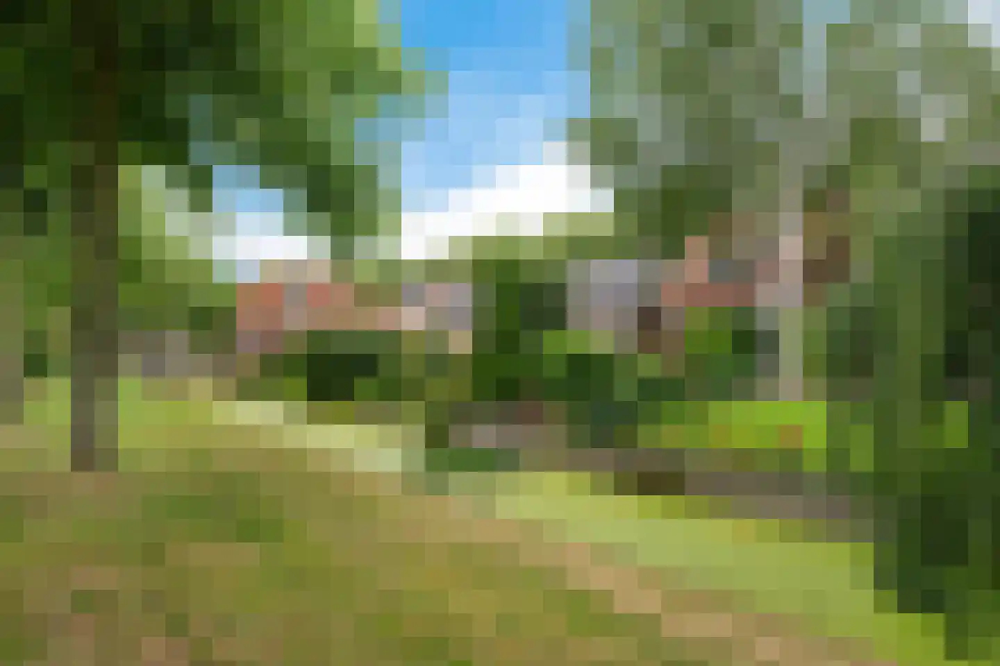 Vrijgevochtenwaltje 16 Dokkum thumbnail 27