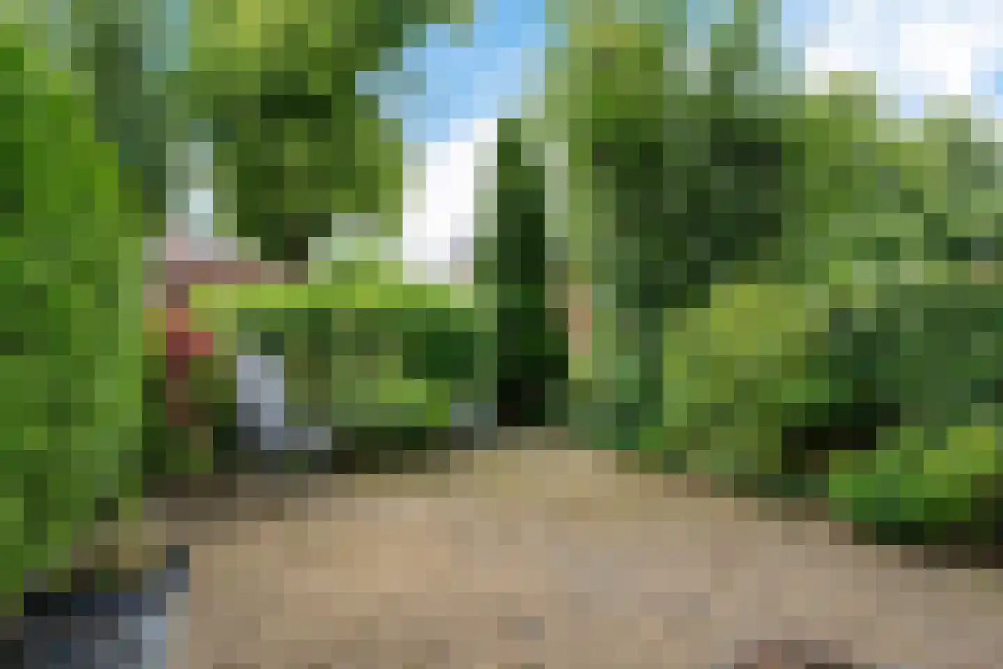 Vrijgevochtenwaltje 16 Dokkum foto 3