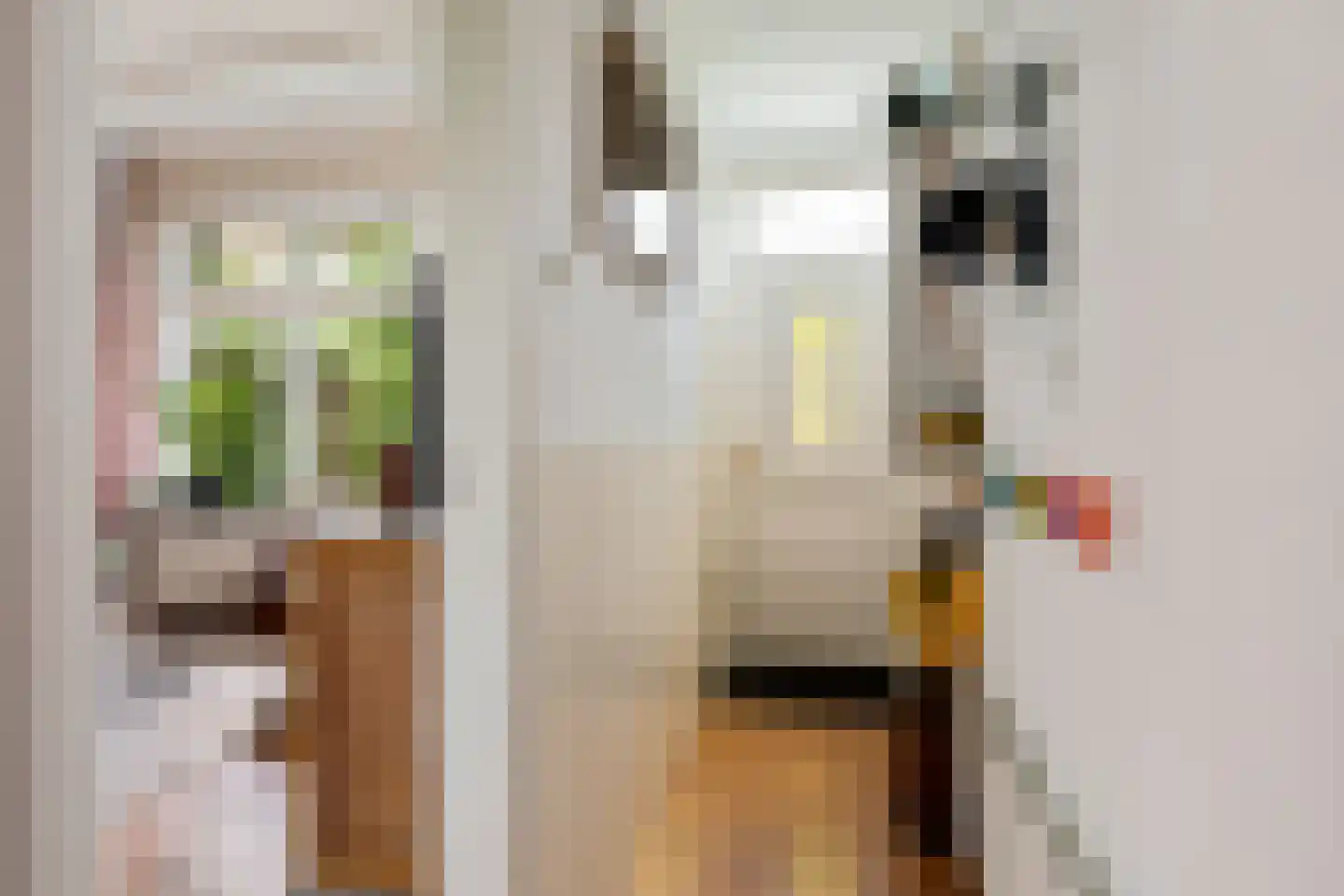 Vrijgevochtenwaltje 16 Dokkum thumbnail 7