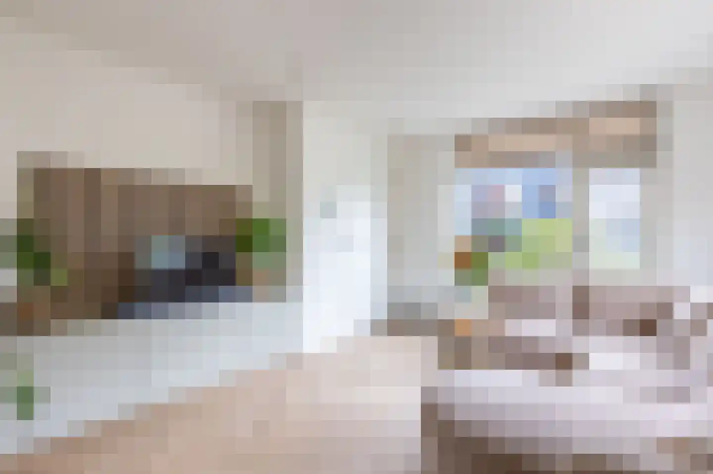Vrijheer de Graeffweg 1 Polsbroek thumbnail 10