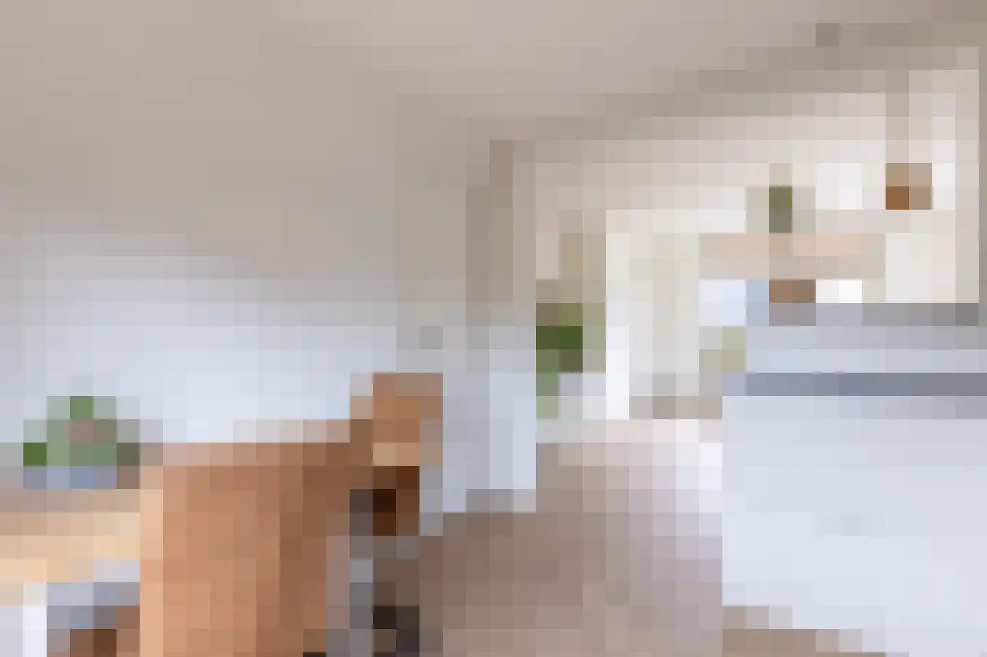 Vrijheer de Graeffweg 1 Polsbroek thumbnail 17