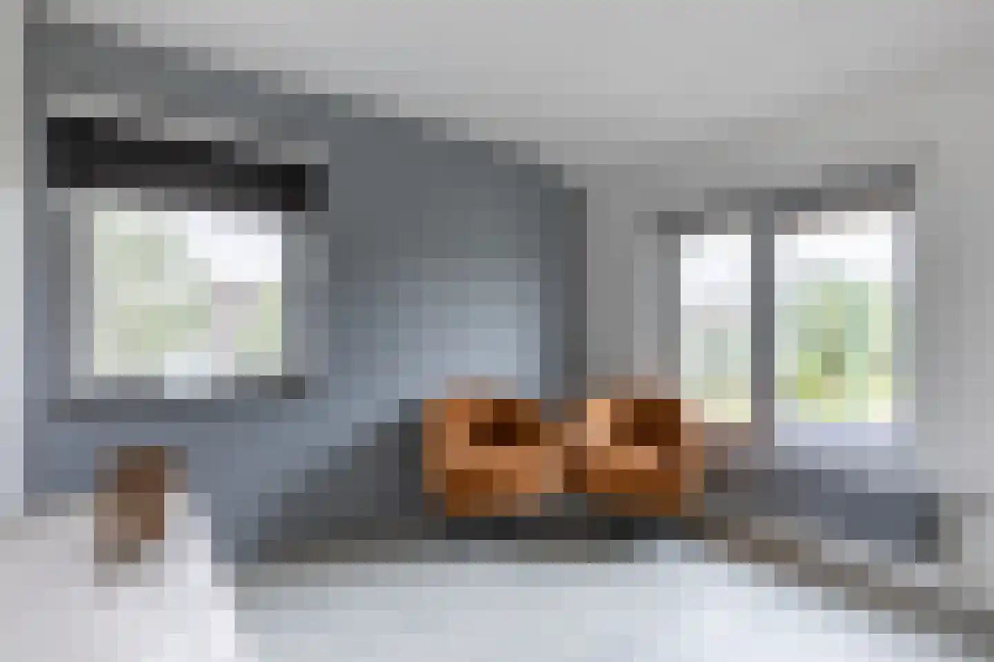 Vrijheer de Graeffweg 1 Polsbroek thumbnail 30
