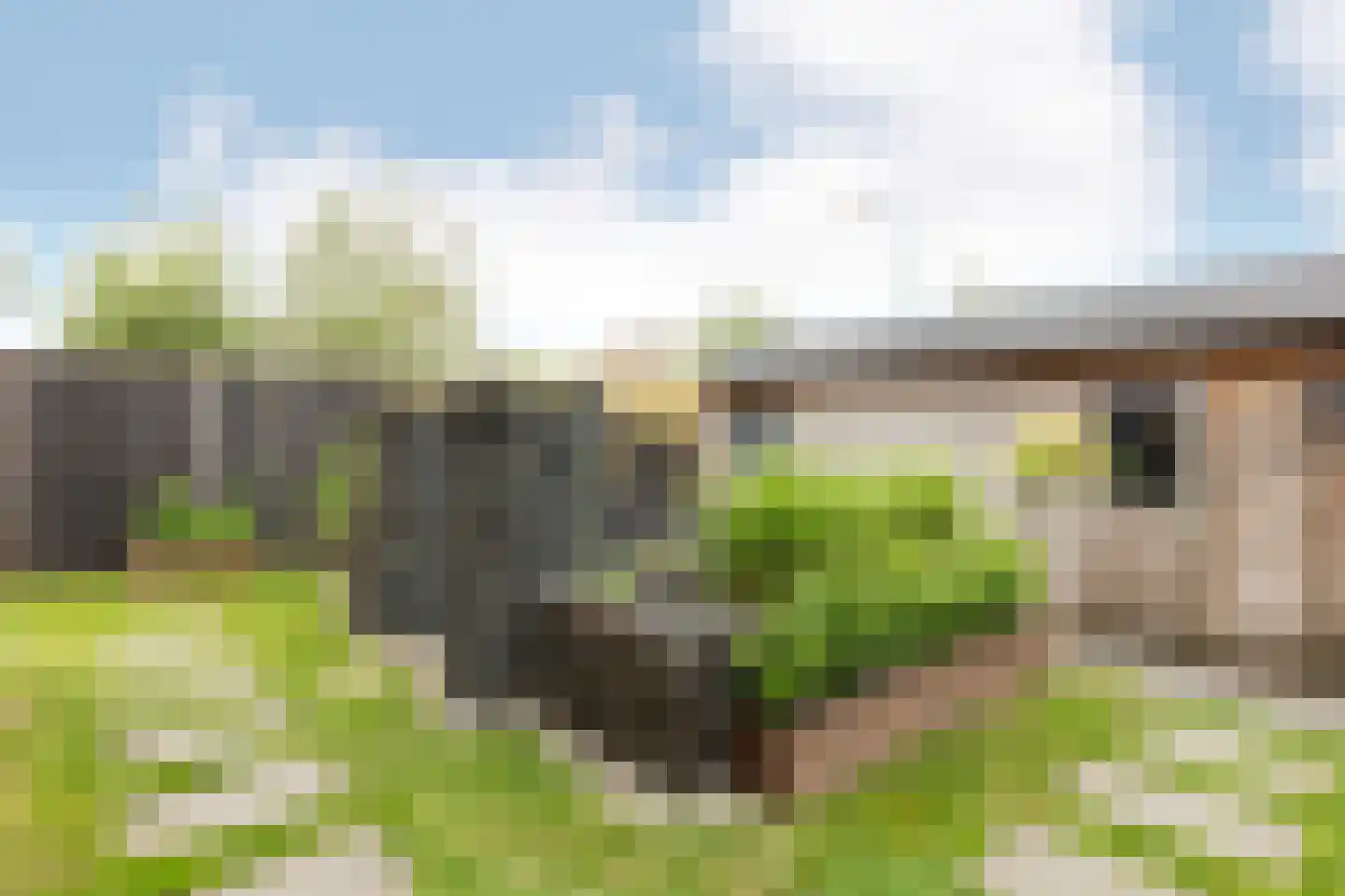 Vrijheer de Graeffweg 1 Polsbroek thumbnail 37