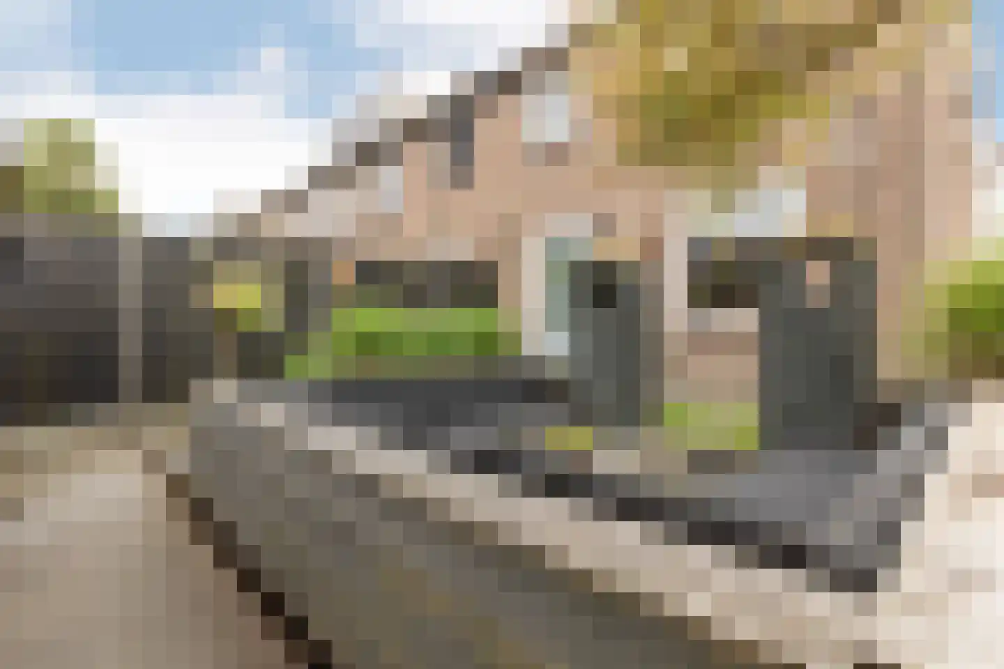 Vrijheer de Graeffweg 1 Polsbroek thumbnail 39