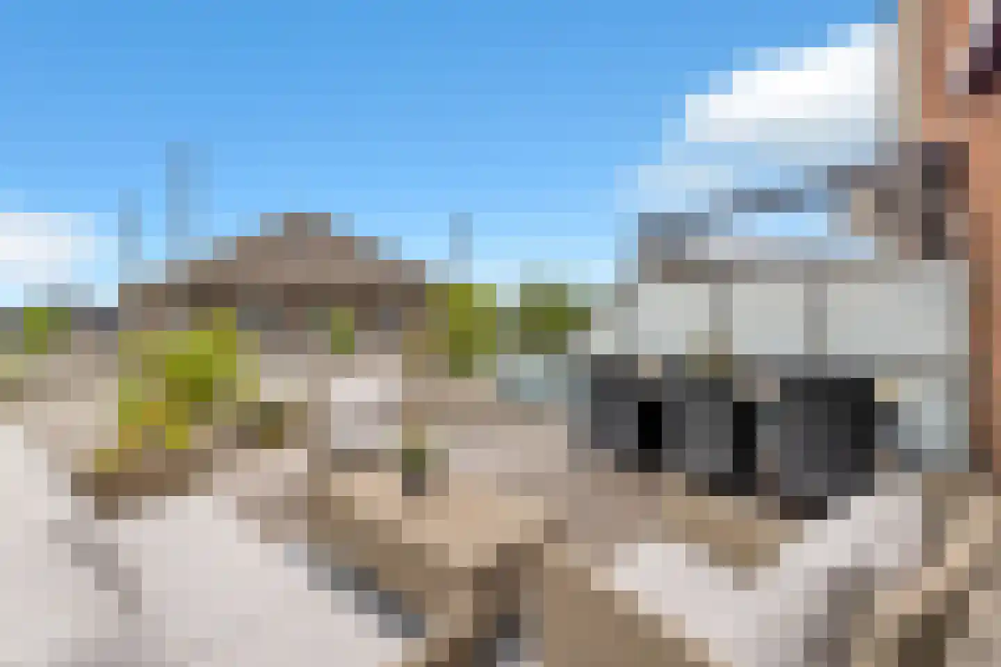 Vrijheer de Graeffweg 18 Polsbroek