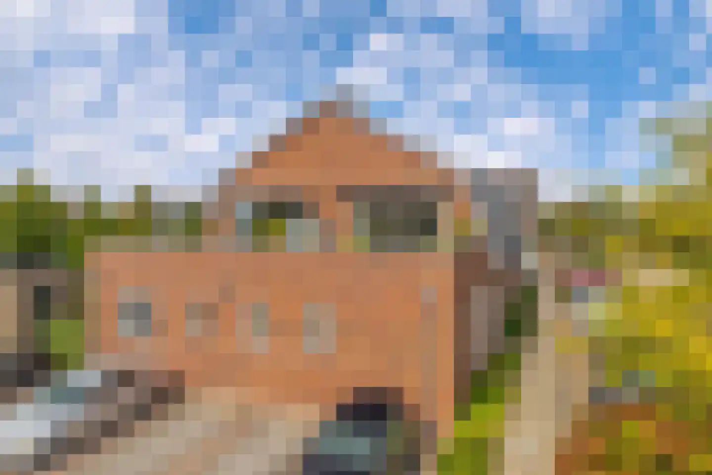 Vrijheer de Graeffweg 18 Polsbroek thumbnail 29