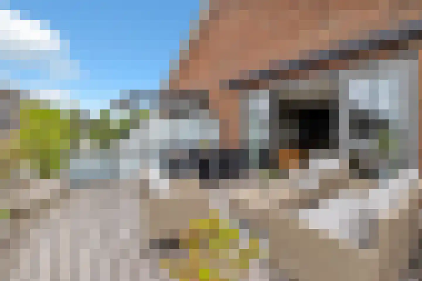 Vrijheer de Graeffweg 18 Polsbroek thumbnail 33