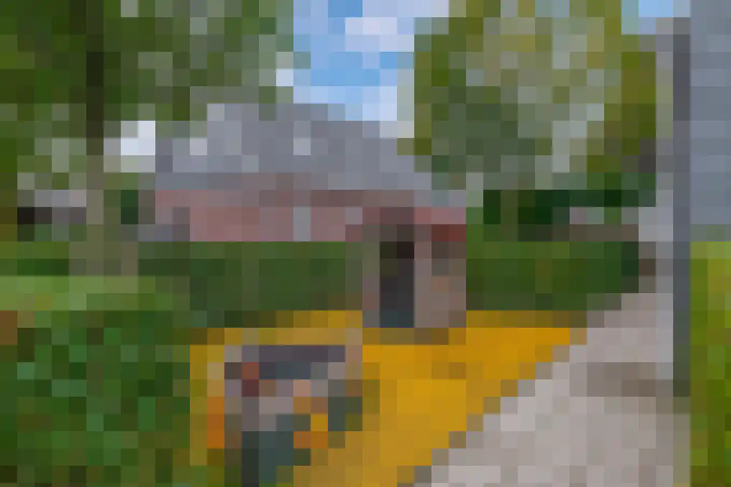 Vrijheer de Graeffweg 18 Polsbroek thumbnail 38