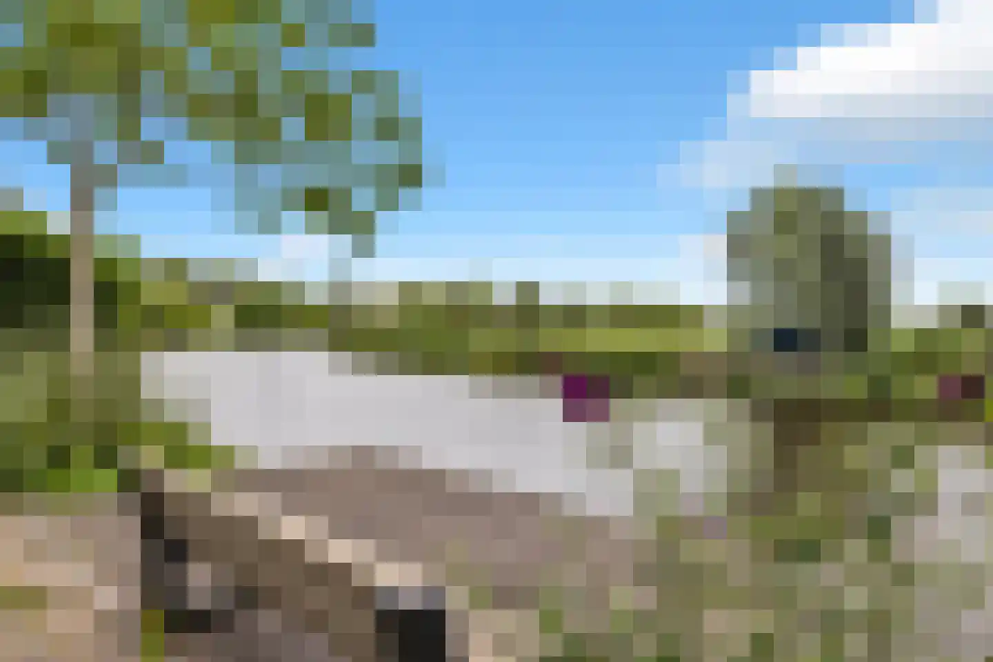 Vrijheer de Graeffweg 18 Polsbroek thumbnail 57