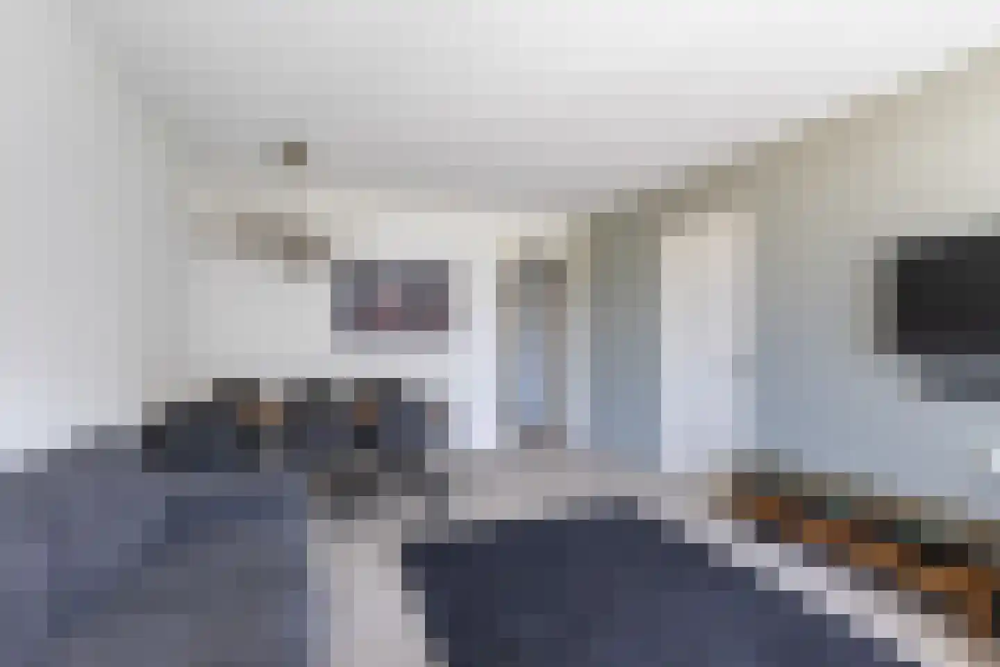 Vrijheer van Eslaan 107 Papendrecht thumbnail 10