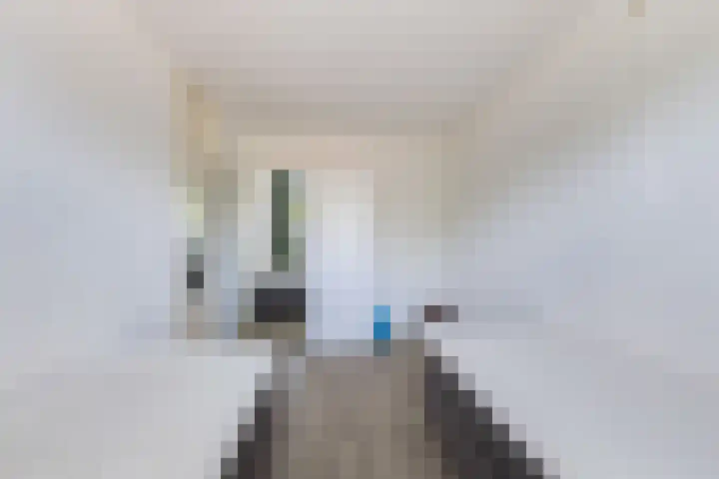 Vrijheer van Eslaan 107 Papendrecht thumbnail 16