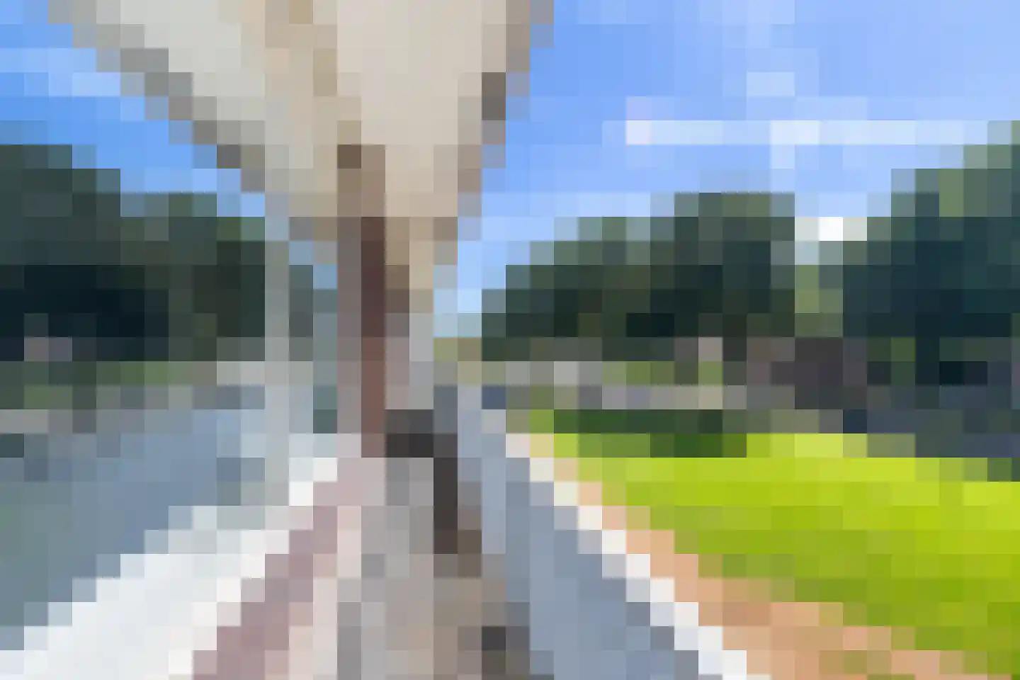 Vrijheer van Eslaan 107 Papendrecht thumbnail 23