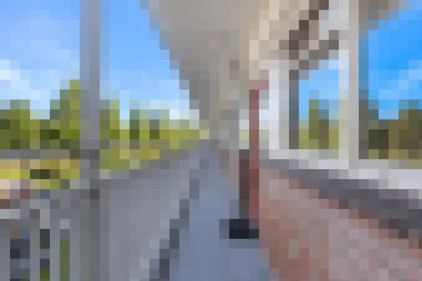 Vrijheer van Eslaan 107 Papendrecht thumbnail 33