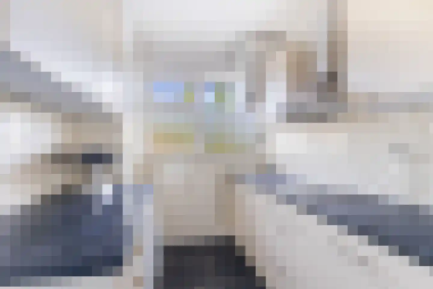Vrijheer van Eslaan 107 Papendrecht thumbnail 4