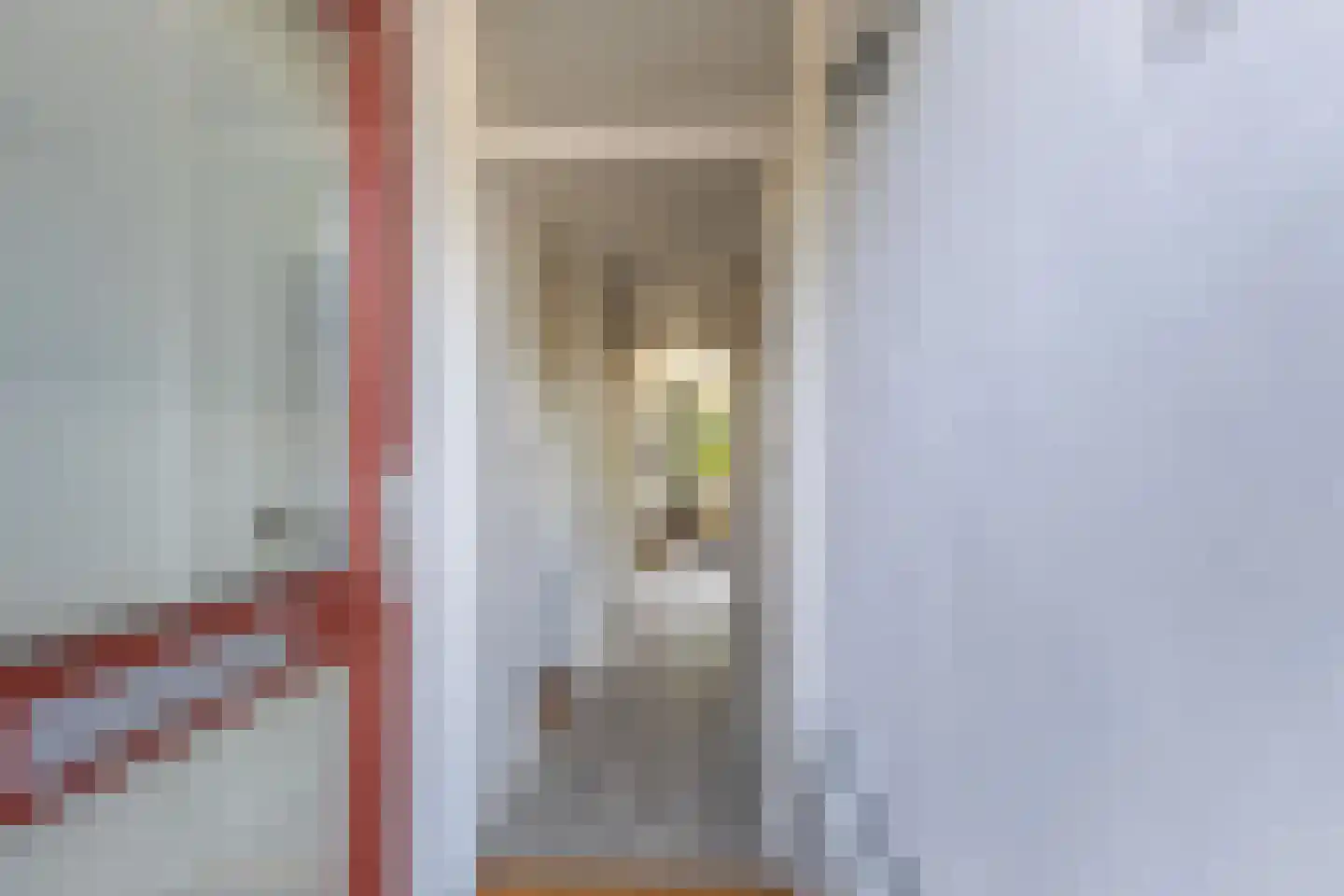Vrijheer van Eslaan 107 Papendrecht thumbnail 6