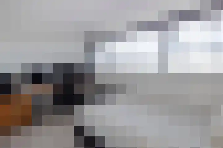 Vrijheer van Eslaan 129 Papendrecht thumbnail 19