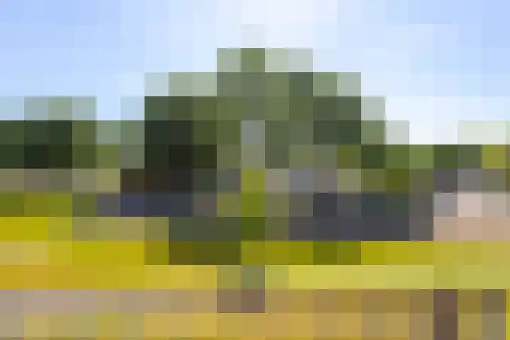 Vrijheer van Eslaan 129 Papendrecht thumbnail 20