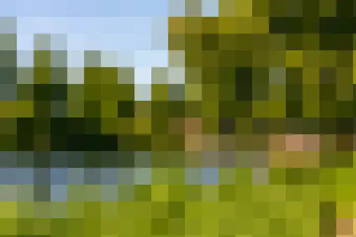 Vrijheer van Eslaan 129 Papendrecht thumbnail 26