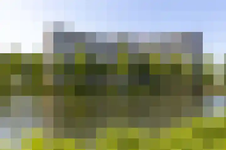 Vrijheer van Eslaan 129 Papendrecht thumbnail 29