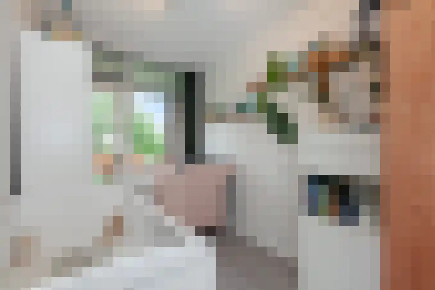 Vrijheer van Eslaan 131 Papendrecht thumbnail 13