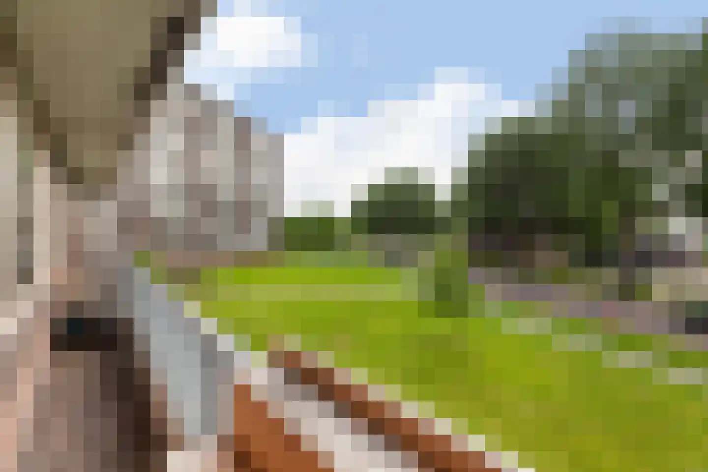 Vrijheer van Eslaan 131 Papendrecht thumbnail 17