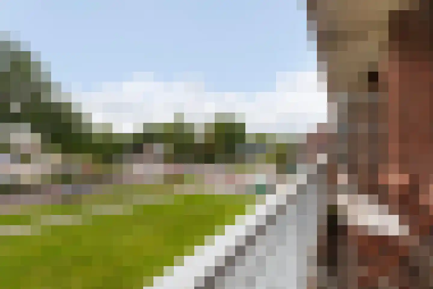 Vrijheer van Eslaan 131 Papendrecht thumbnail 18