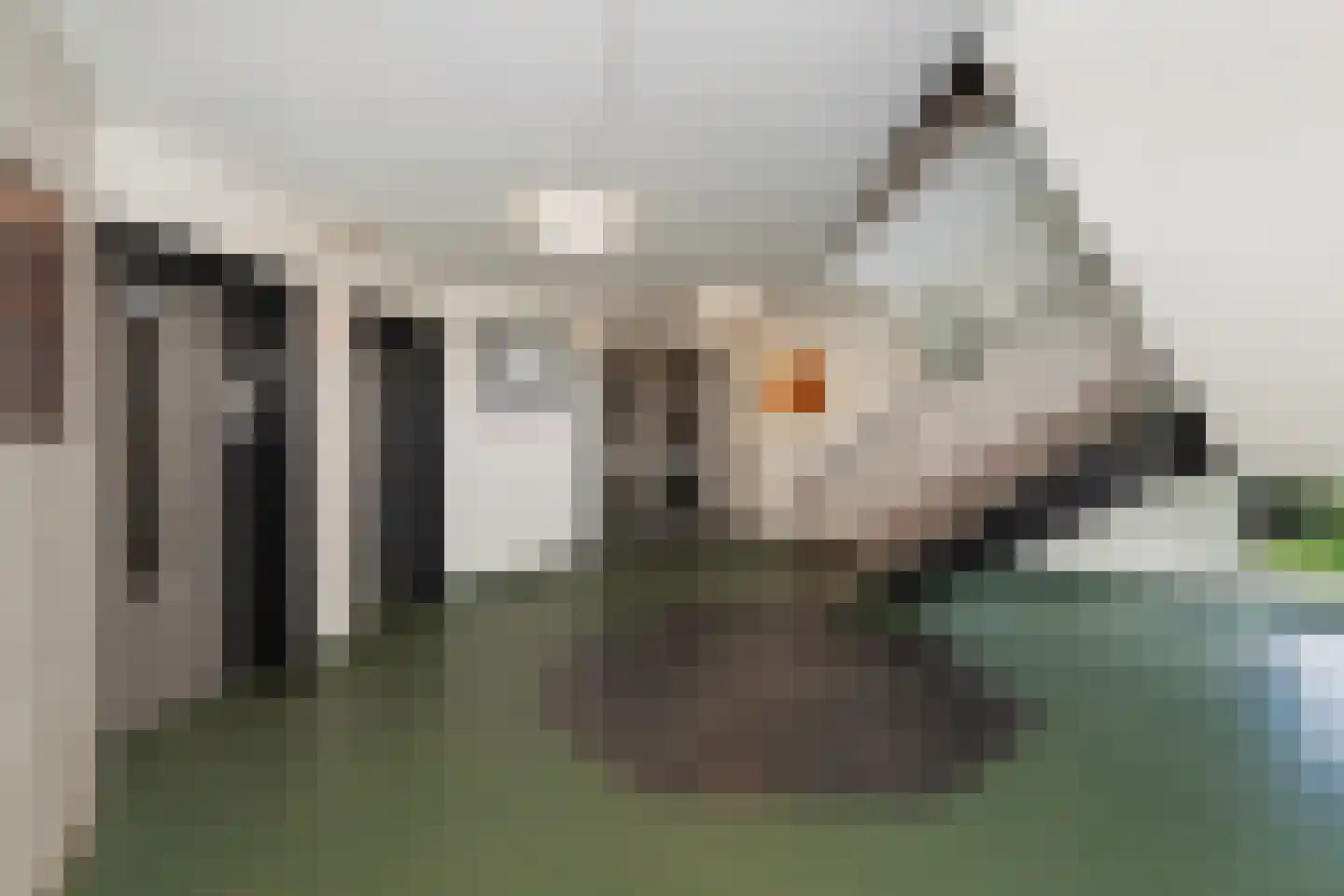 Vrijheer van Eslaan 131 Papendrecht thumbnail 24