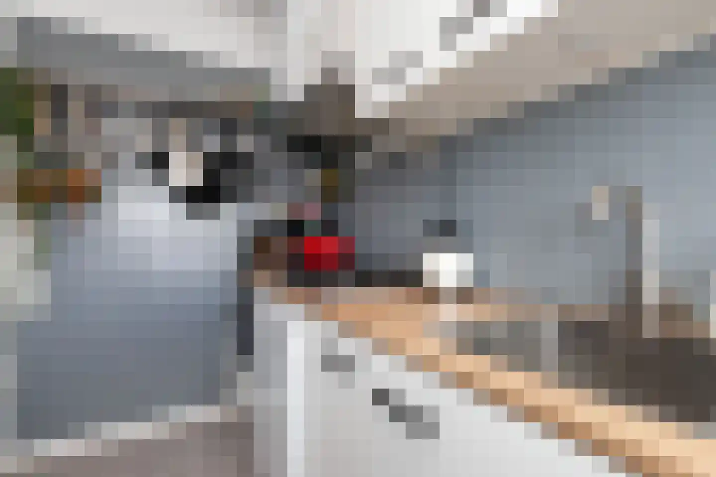 Vrijheer van Eslaan 131 Papendrecht thumbnail 8