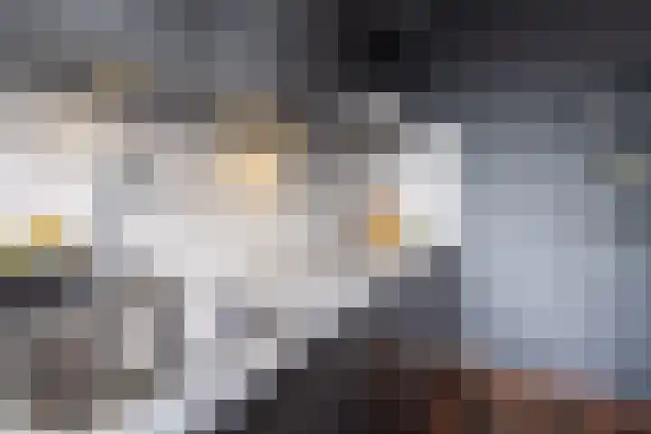 Vrijheer van Eslaan 133 Papendrecht thumbnail 16