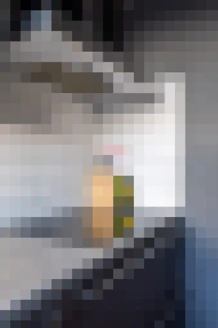 Vrijheer van Eslaan 133 Papendrecht thumbnail 22