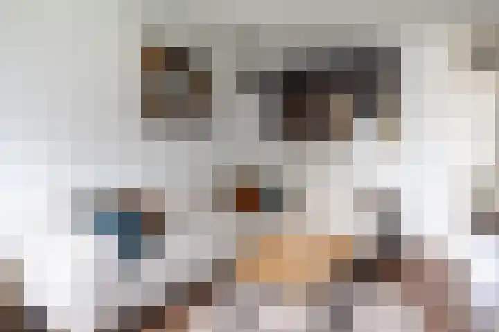Vrijheer van Eslaan 133 Papendrecht thumbnail 30