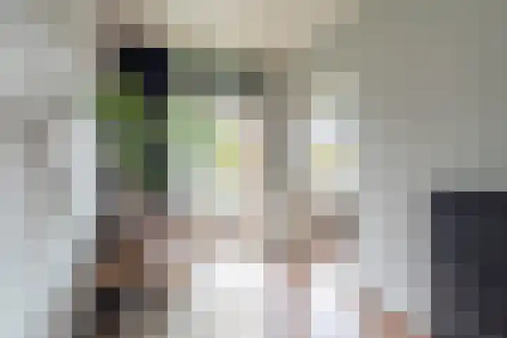 Vrijheer van Eslaan 133 Papendrecht thumbnail 4