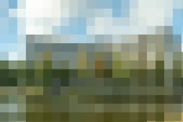 Vrijheer van Eslaan 133 Papendrecht thumbnail 42
