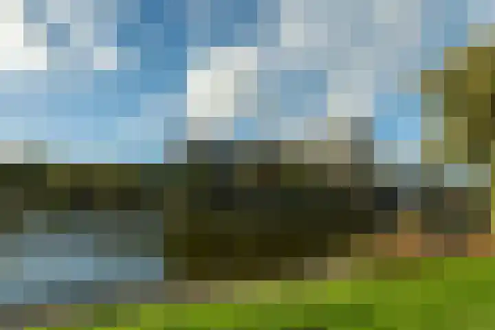 Vrijheer van Eslaan 133 Papendrecht thumbnail 43