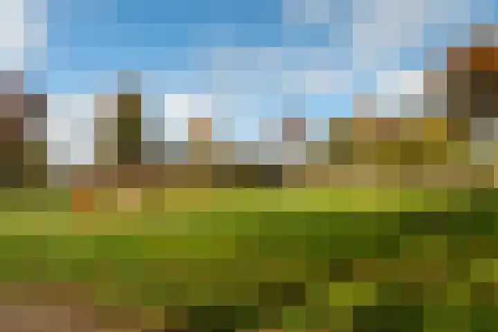 Vrijheer van Eslaan 133 Papendrecht thumbnail 44